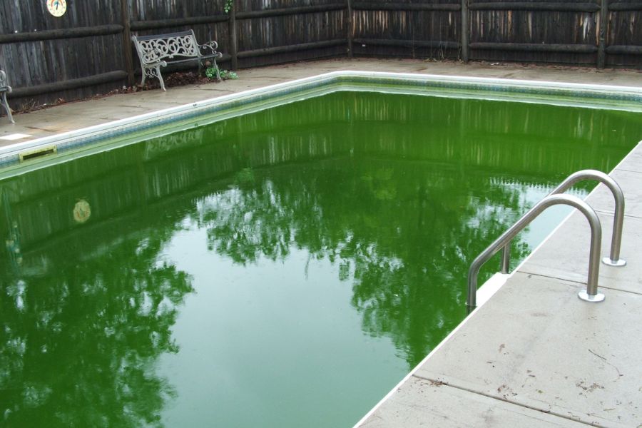 piscina turbia